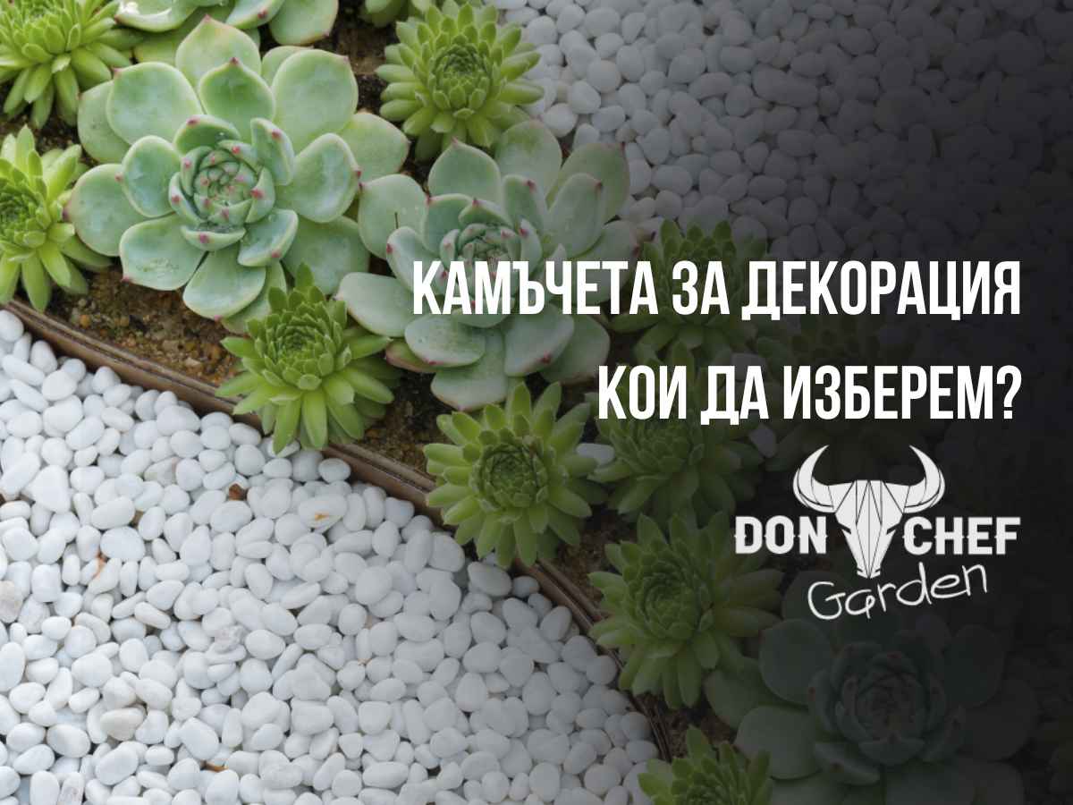 Don-Chef-Garden-Kamacheta-za-dekoratsiya-koi-da-izberem?
