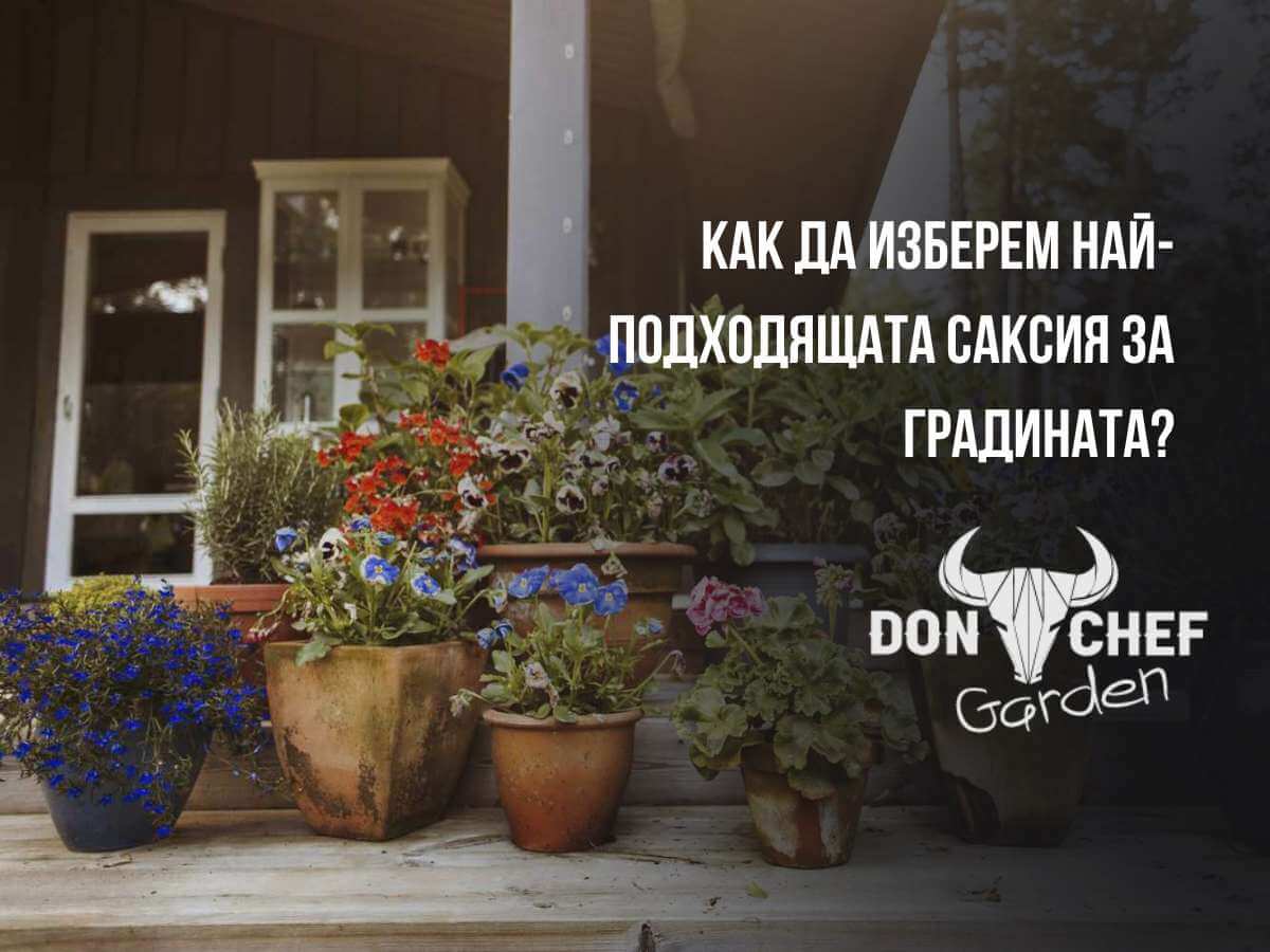 Как да изберем най-подходящата саксия за градината?